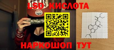 трава Гатчина