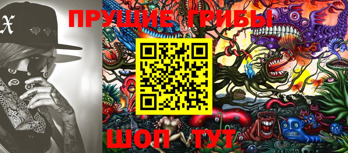 Моздок  Псилоцибиновые грибы прущие грибы  Вход с VPN 